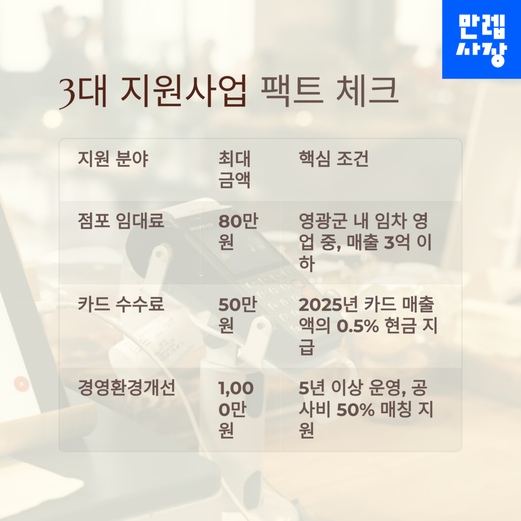 3대 지원사업 체크 표