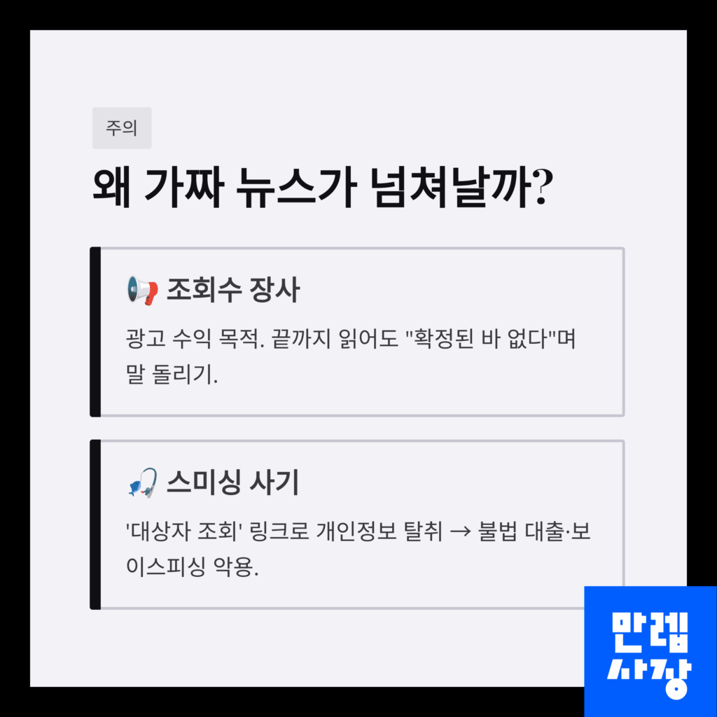 가짜뉴스 설명