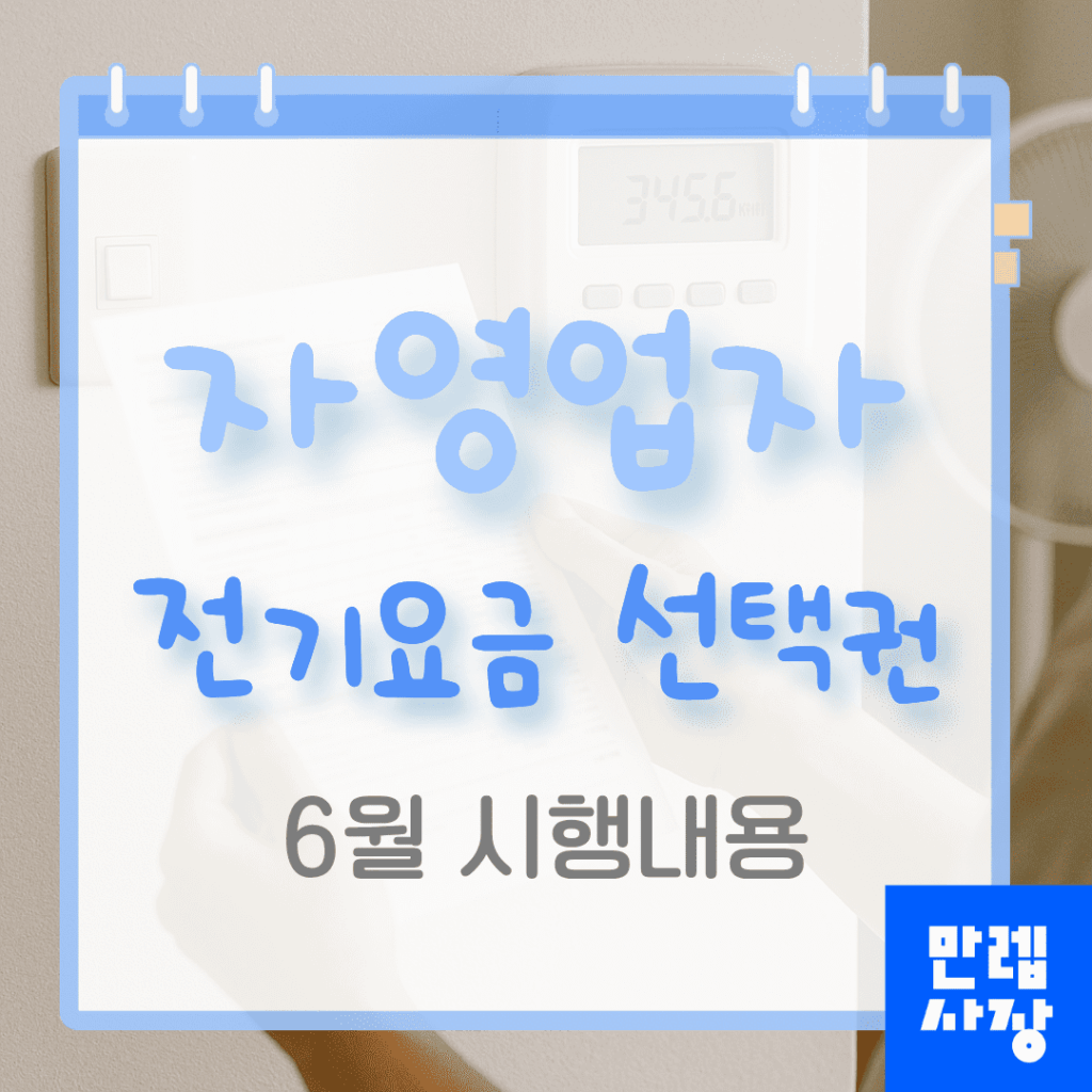 자영업자 전기요금 선택권 6월 개편 완전 안내