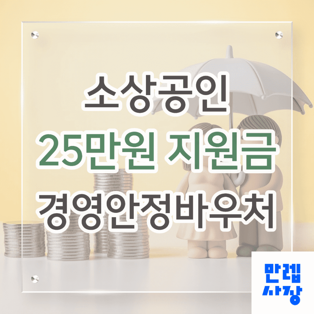 소상공인 25만원 지원금 경영안정바우처 신청 절차