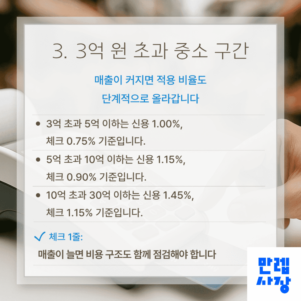 3억 원 초과 중소 가맹점 구간