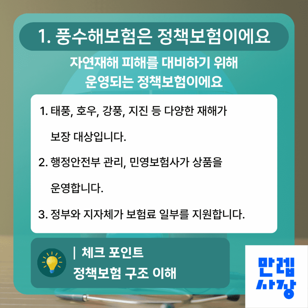 정책보험 구조